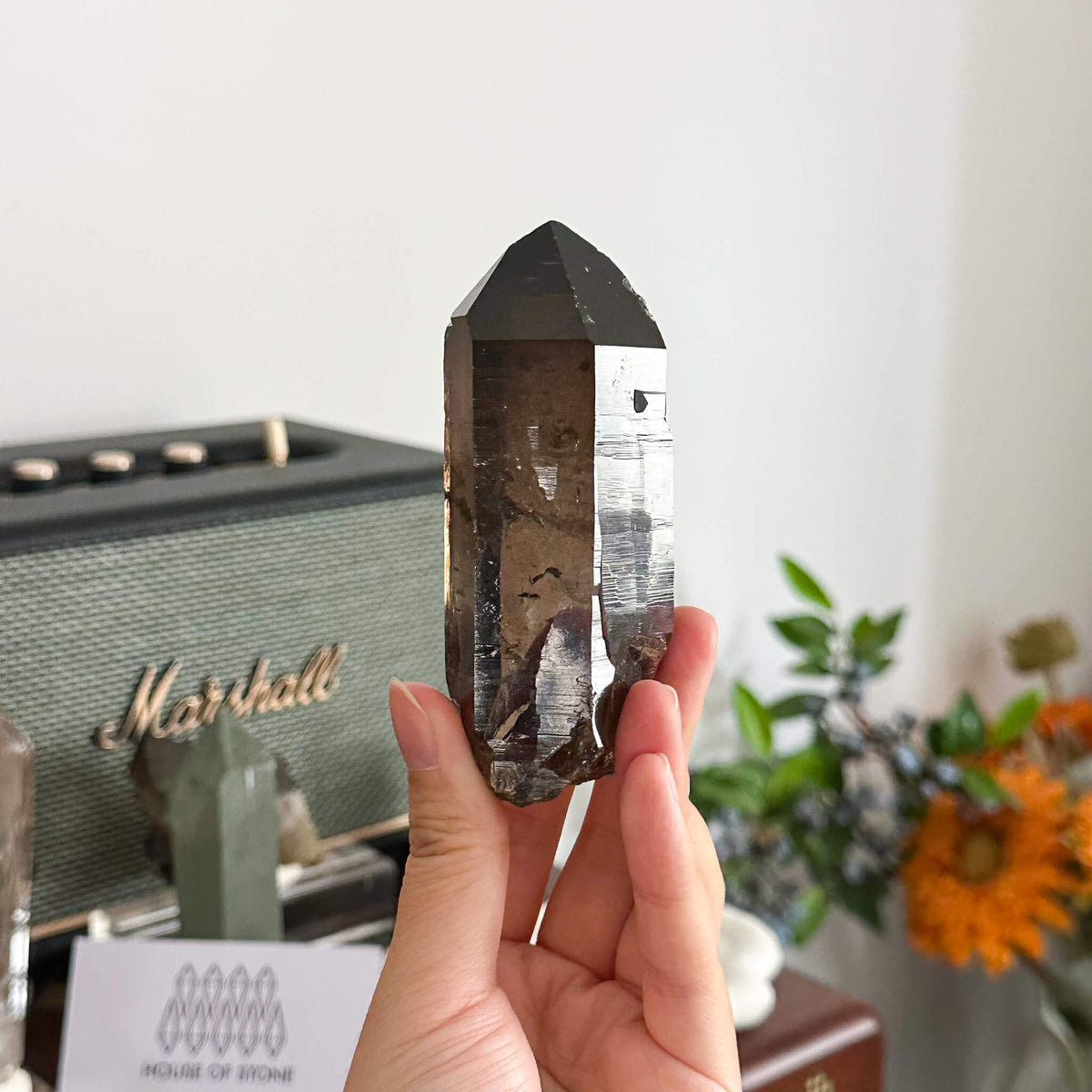 Swiss Smoky Quartz Point Specimen/Switzerland Dark Smoky Quartz Tower/Alpine Mineral/Apls Quartz