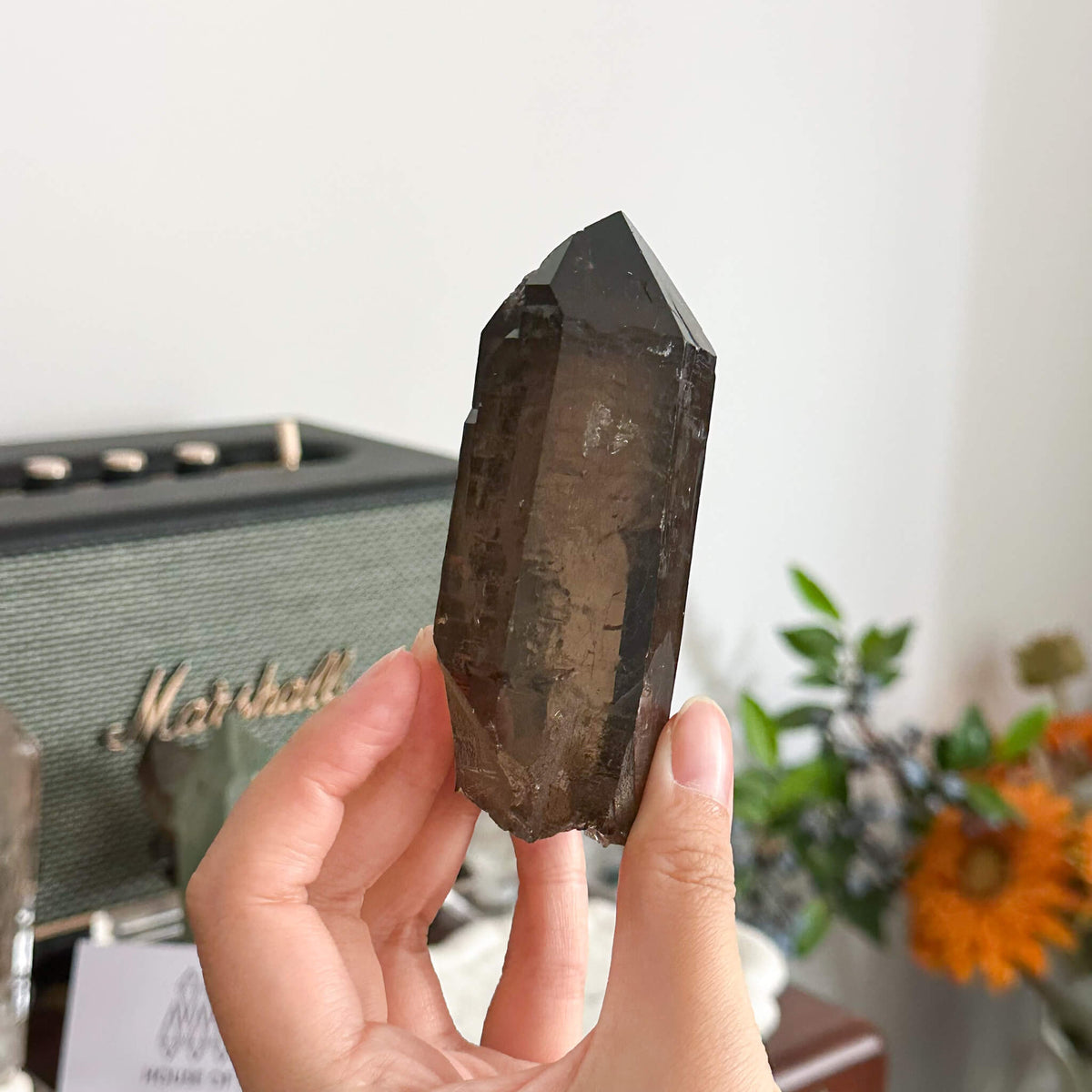 Swiss Smoky Quartz Point Specimen/Switzerland Dark Smoky Quartz Tower/Alpine Mineral/Apls Quartz