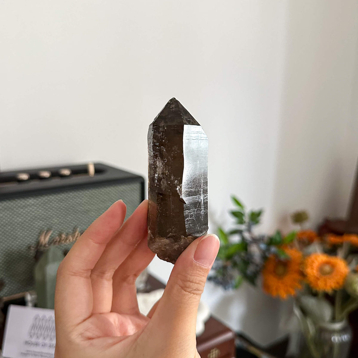 France Smoky Quartz Point Specimen/France Dark Smoky Quartz Tower with Fluorite Marks/Alpine Mineral/Apls Quartz/Mont-Blanc Minerals