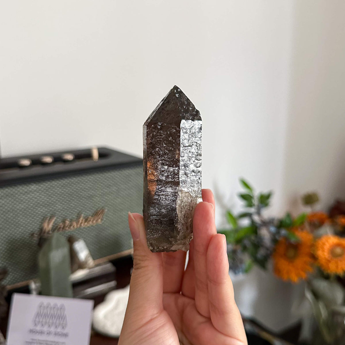 France Smoky Quartz Point Specimen/France Dark Smoky Quartz Tower with Fluorite Marks/Alpine Mineral/Apls Quartz/Mont-Blanc Minerals