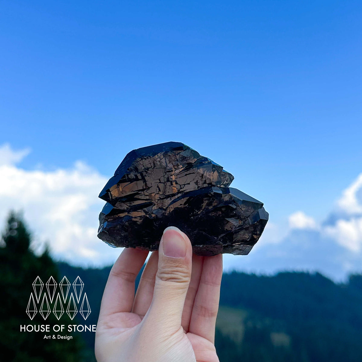 Alpine Mineral Swiss Gwindel Morion Smoky Quartz Specimen/Morion Switzerland Gwindel Apls/Dark Smoky Quartz Gwindel