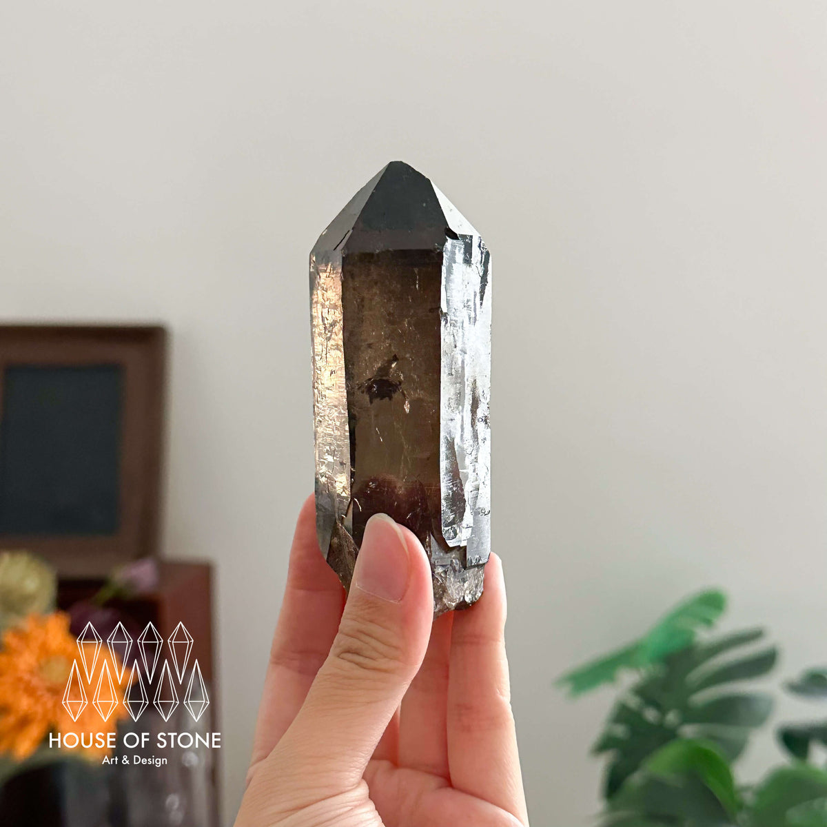 Swiss Smoky Quartz Point Specimen/Switzerland Dark Smoky Quartz Tower/Alpine Mineral/Apls Quartz