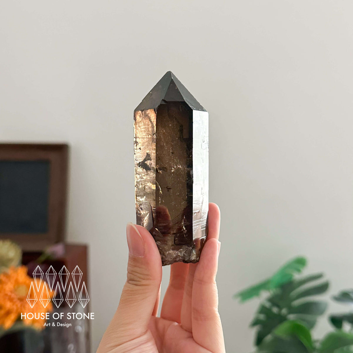 Swiss Smoky Quartz Point Specimen/Switzerland Dark Smoky Quartz Tower/Alpine Mineral/Apls Quartz