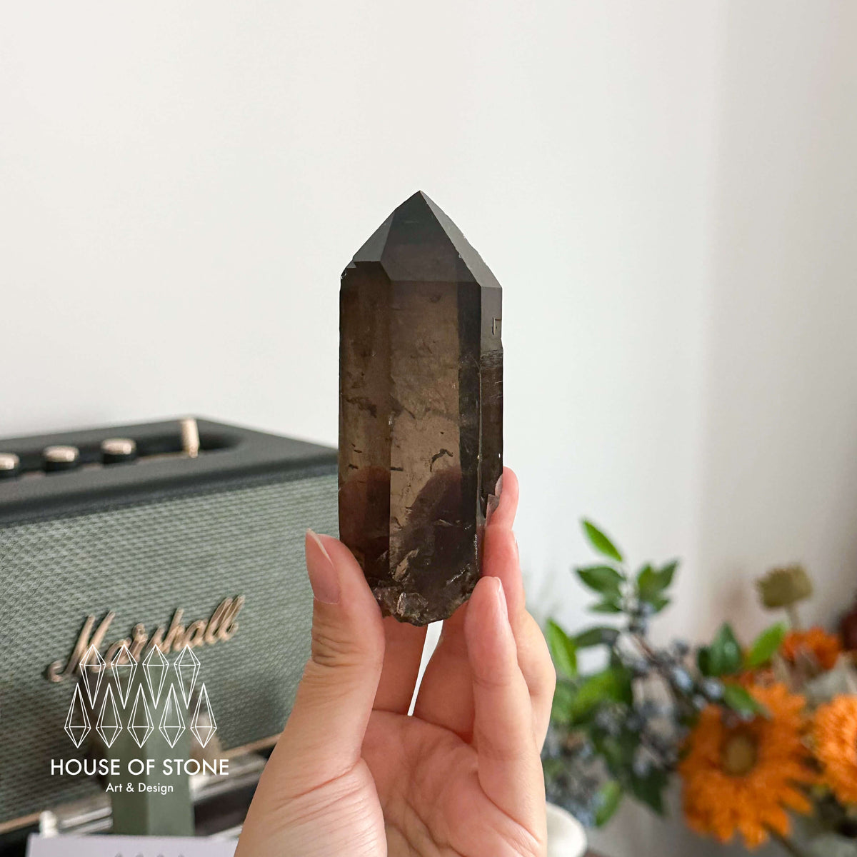 Swiss Smoky Quartz Point Specimen/Switzerland Dark Smoky Quartz Tower/Alpine Mineral/Apls Quartz