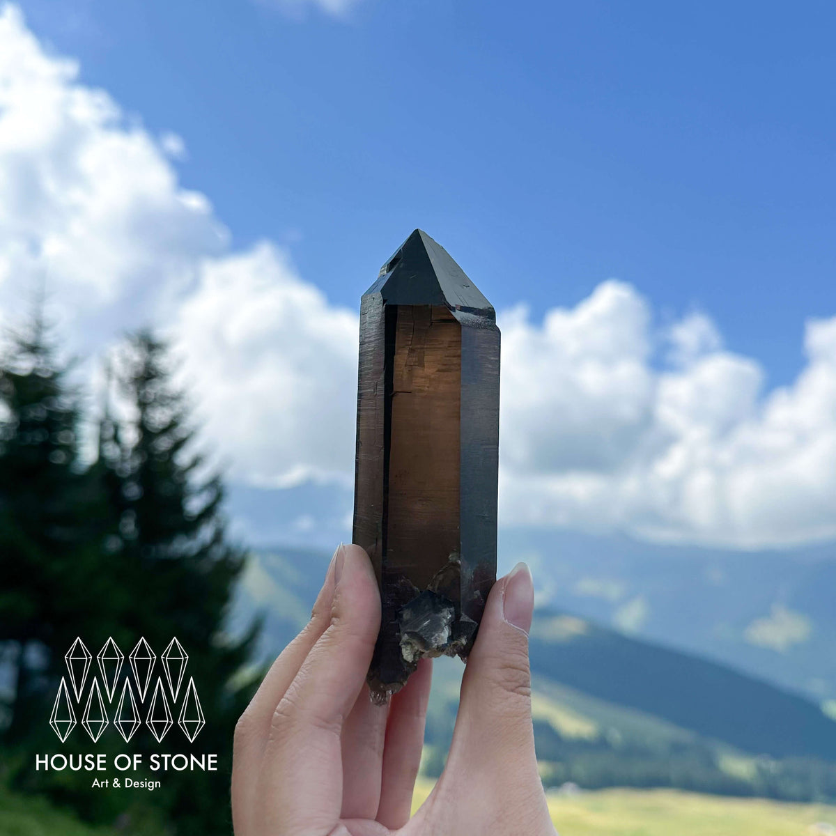 Alpine Mineral Morion Smoky Quartz Point Specimen/Swiss Tower Apls/Double Terminated Quartz Points/Dark Smoky Quartz Floater Quartz Cluster