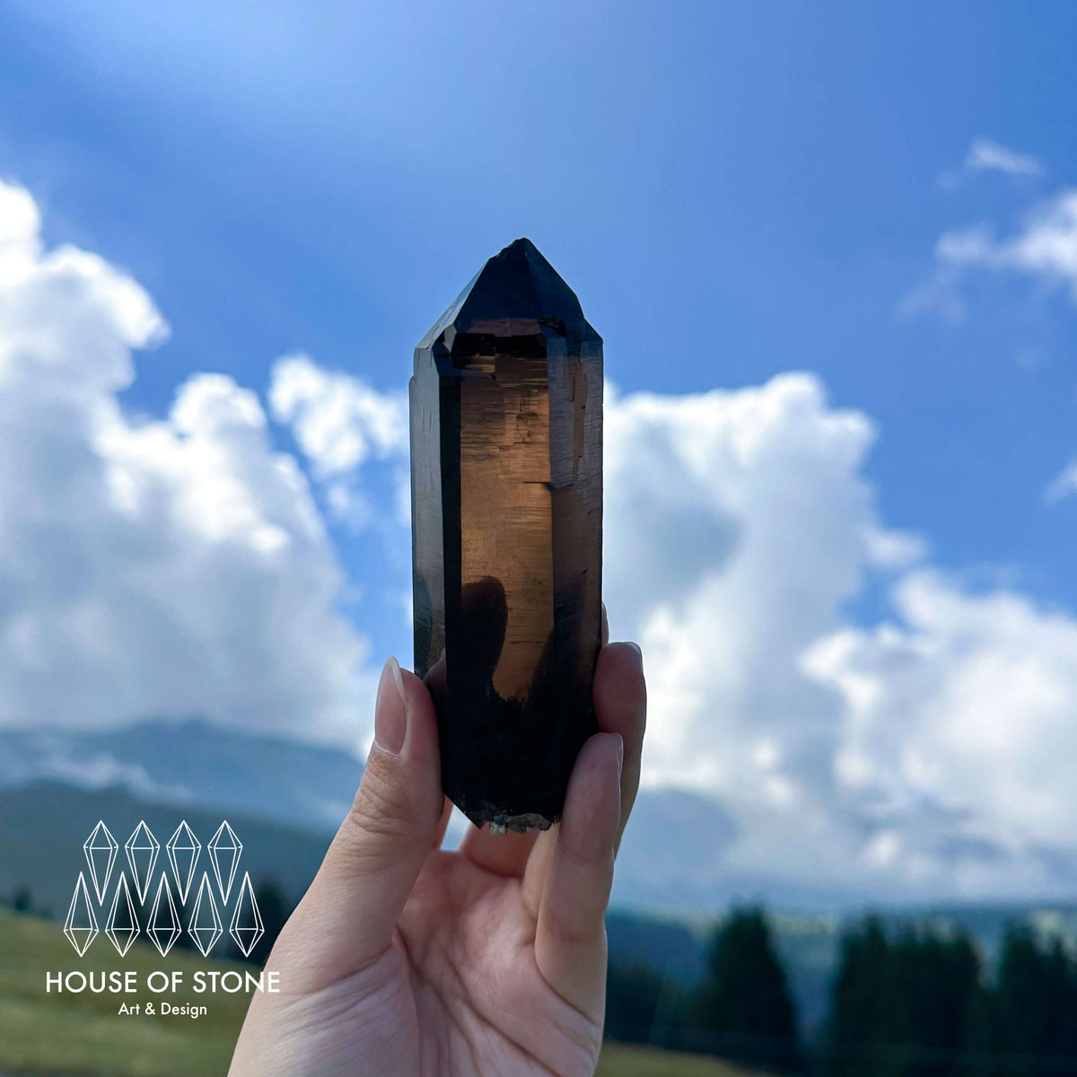 Alpine Mineral Morion Smoky Quartz Point Specimen/Swiss Tower Apls/Double Terminated Quartz Points/Dark Smoky Quartz Floater Quartz Cluster