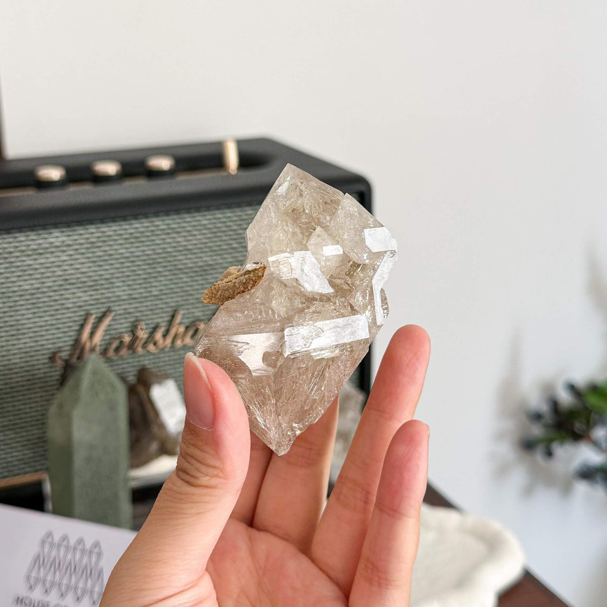 Swiss Skeletal Quartz Point Specimen/Switzerland Crystal Alpine Skeletal Quartz Mud Inclusions Mineral/Apls Double Terminated Window Quartz3