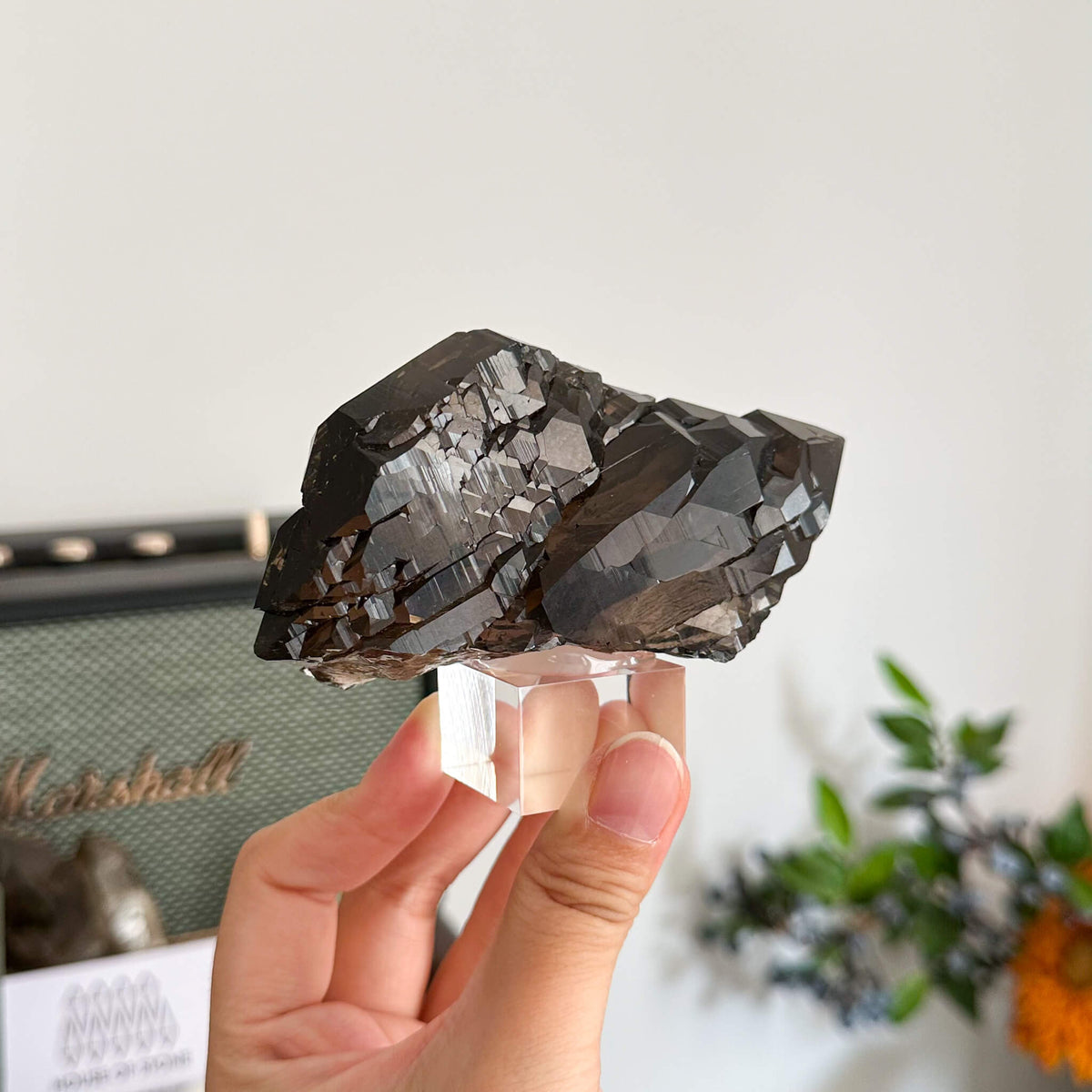 Alpine Mineral Swiss Gwindel Morion Smoky Quartz Specimen/Morion Switzerland Gwindel Apls/Dark Smoky Quartz Gwindel