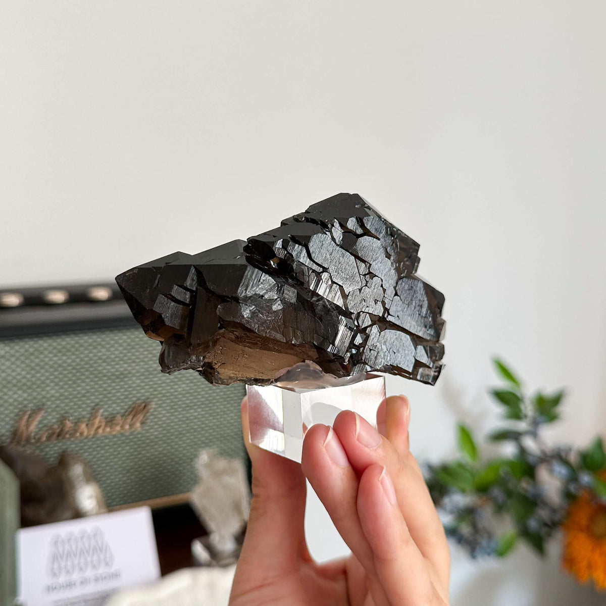 Alpine Mineral Swiss Gwindel Morion Smoky Quartz Specimen/Morion Switzerland Gwindel Apls/Dark Smoky Quartz Gwindel