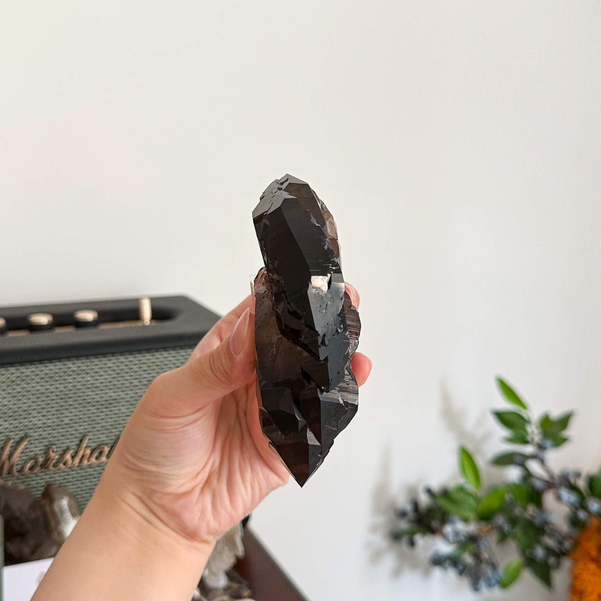 Alpine Mineral Swiss Gwindel Morion Smoky Quartz Specimen/Morion Switzerland Gwindel Apls/Dark Smoky Quartz Gwindel