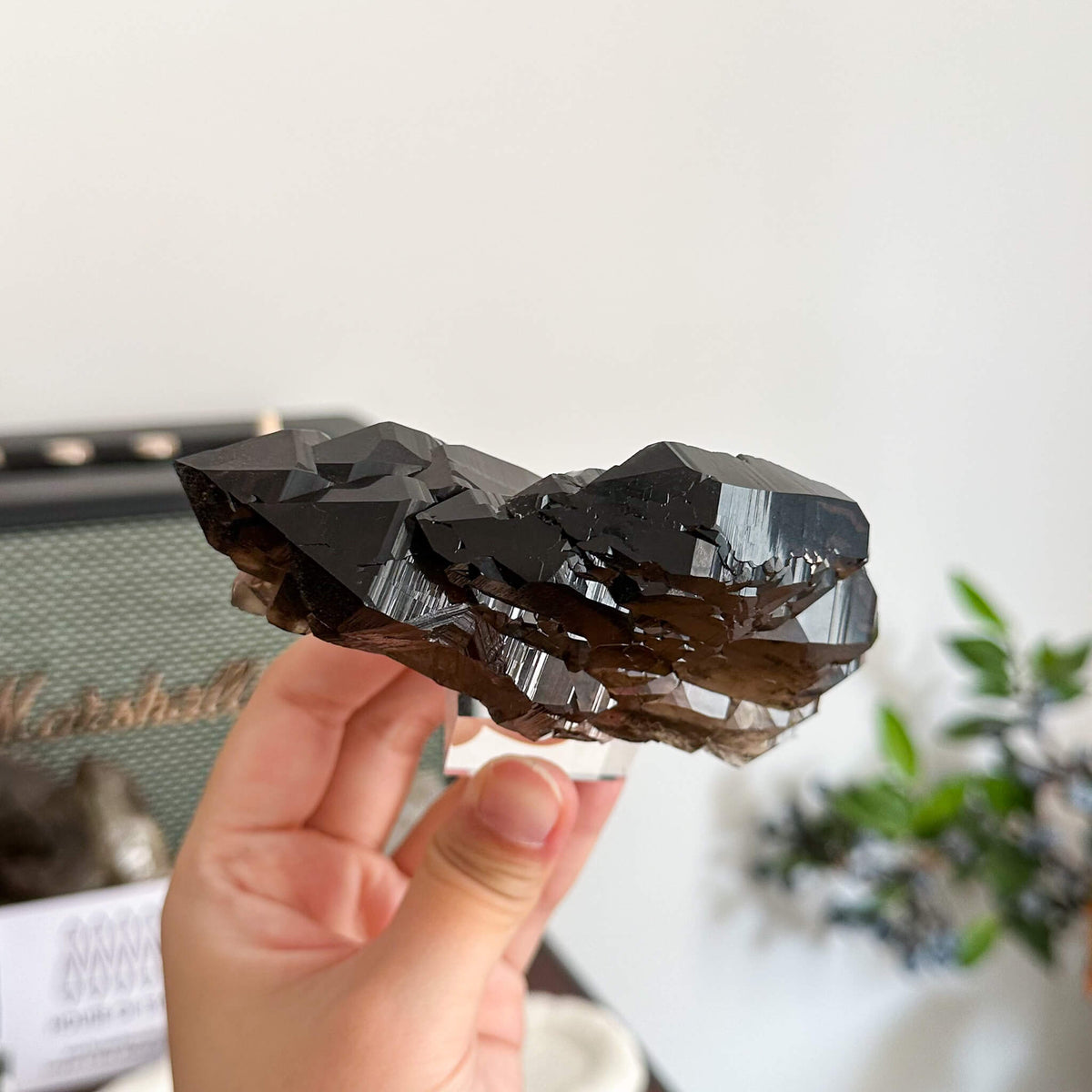 Alpine Mineral Swiss Gwindel Morion Smoky Quartz Specimen/Morion Switzerland Gwindel Apls/Dark Smoky Quartz Gwindel