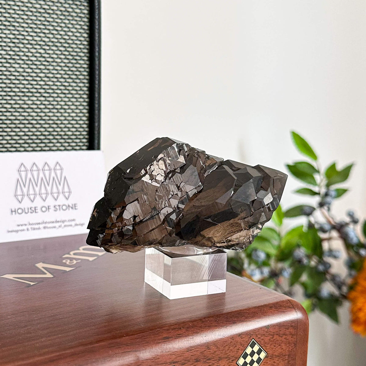 Alpine Mineral Swiss Gwindel Morion Smoky Quartz Specimen/Morion Switzerland Gwindel Apls/Dark Smoky Quartz Gwindel