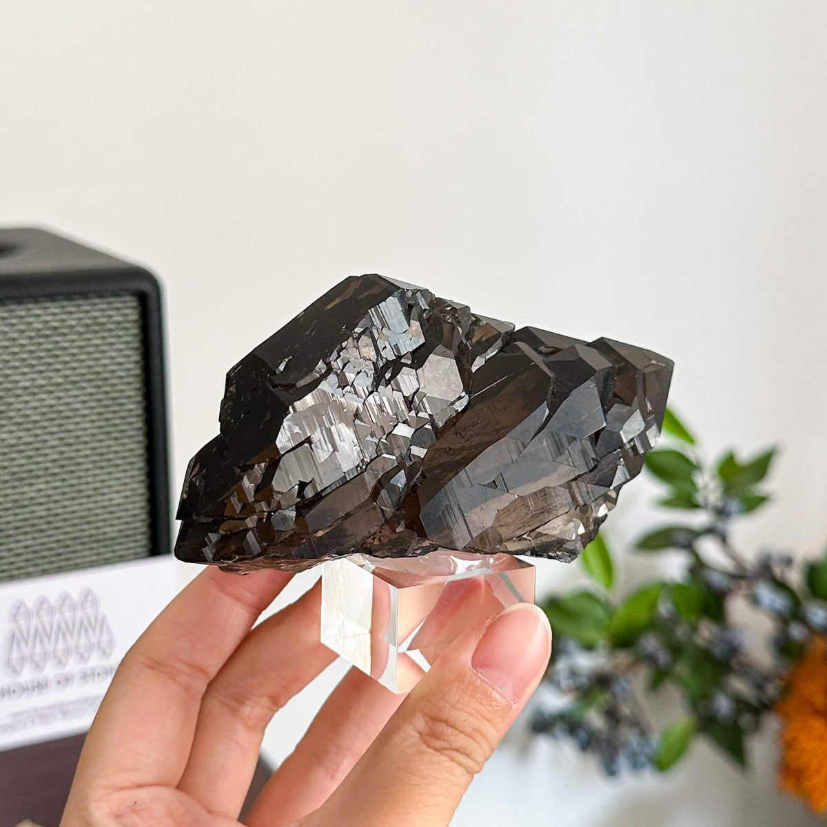 Alpine Mineral Swiss Gwindel Morion Smoky Quartz Specimen/Morion Switzerland Gwindel Apls/Dark Smoky Quartz Gwindel