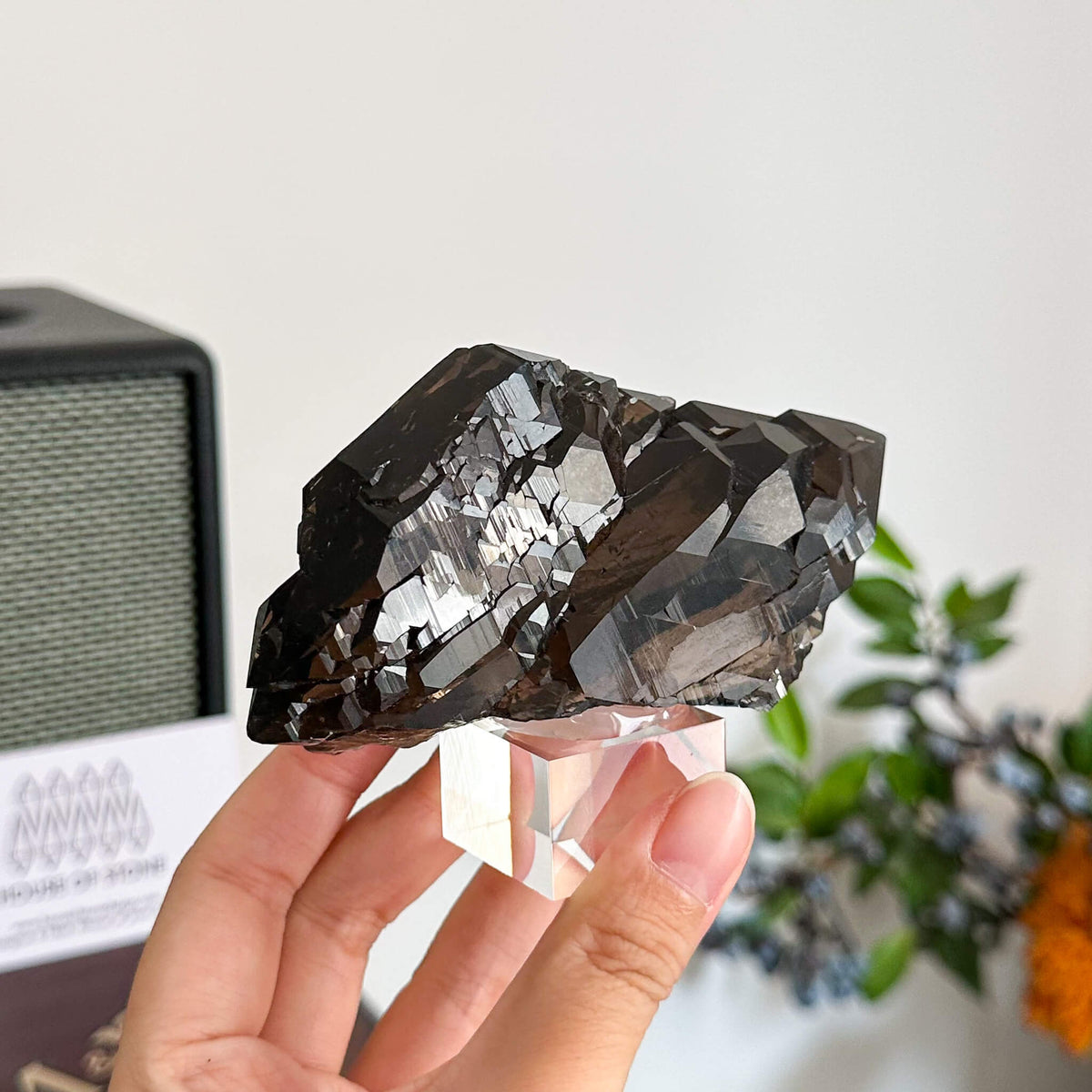 Alpine Mineral Swiss Gwindel Morion Smoky Quartz Specimen/Morion Switzerland Gwindel Apls/Dark Smoky Quartz Gwindel