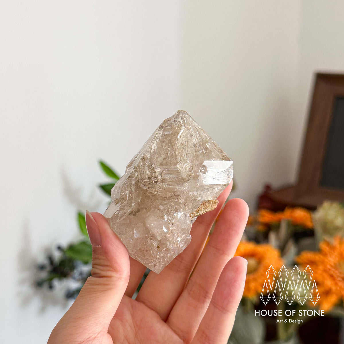 Swiss Skeletal Quartz Point Specimen/Switzerland Crystal Alpine Skeletal Quartz Mud Inclusions Mineral/Apls Double Terminated Window Quartz3
