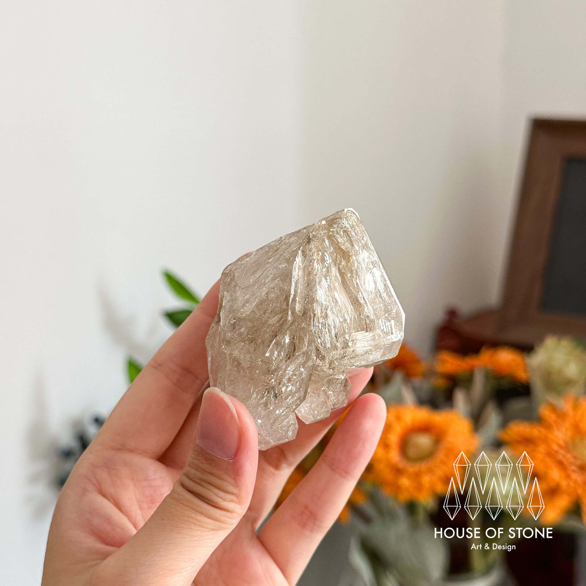 Swiss Skeletal Quartz Point Specimen/Switzerland Crystal Alpine Skeletal Quartz Mud Inclusions Mineral/Apls Double Terminated Window Quartz3