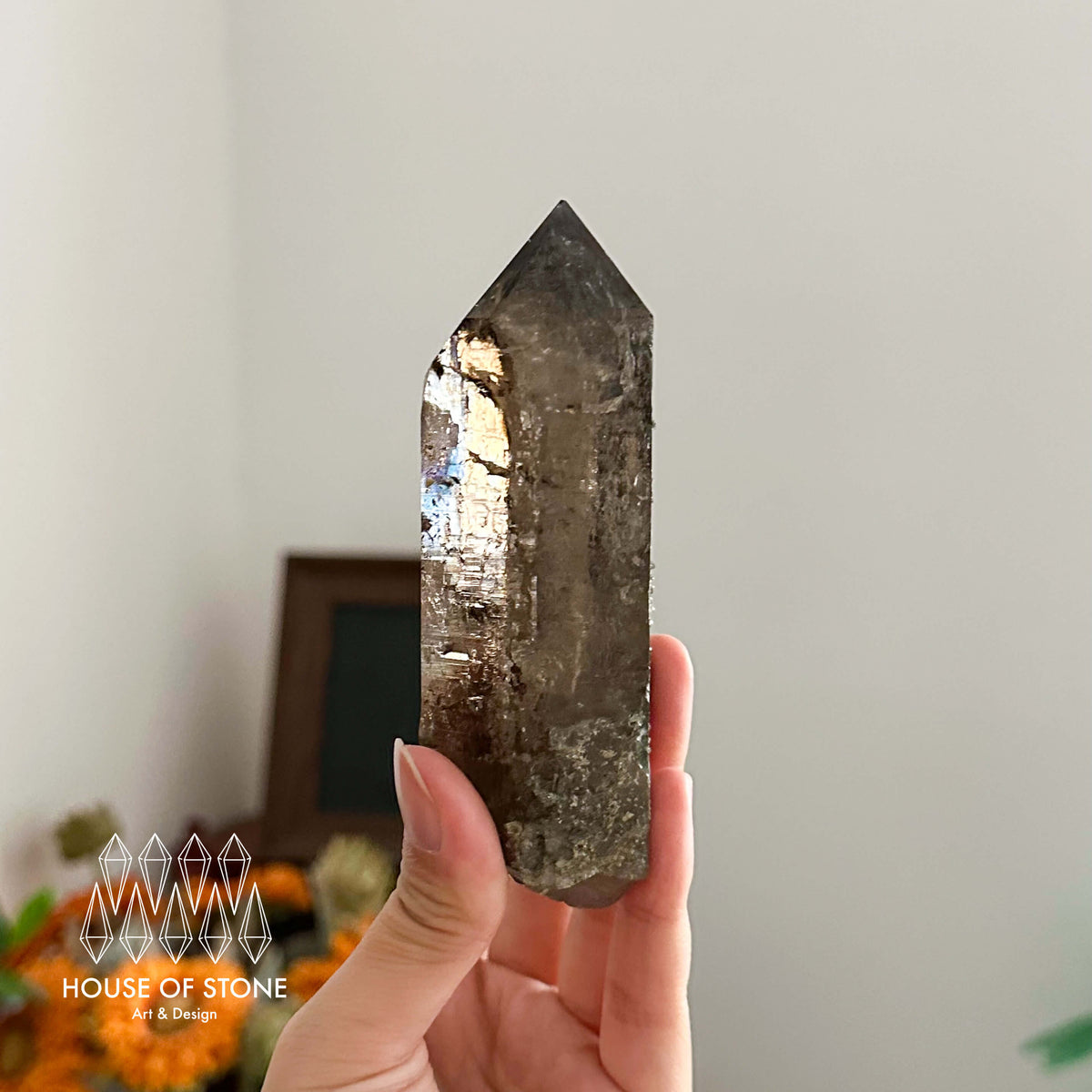 Swiss Smoky Quartz Point Specimen/Switzerland Smoky Quartz Tower/Alpine Mineral/Apls Quartz