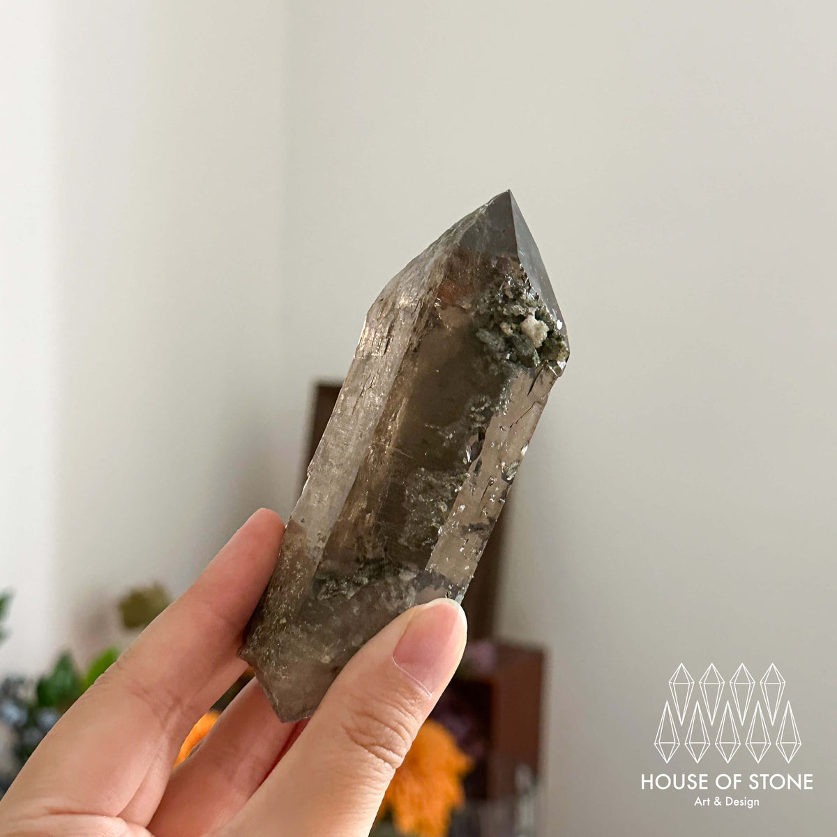 Swiss Smoky Quartz Point Specimen/Switzerland Smoky Quartz Tower/Alpine Mineral/Apls Quartz