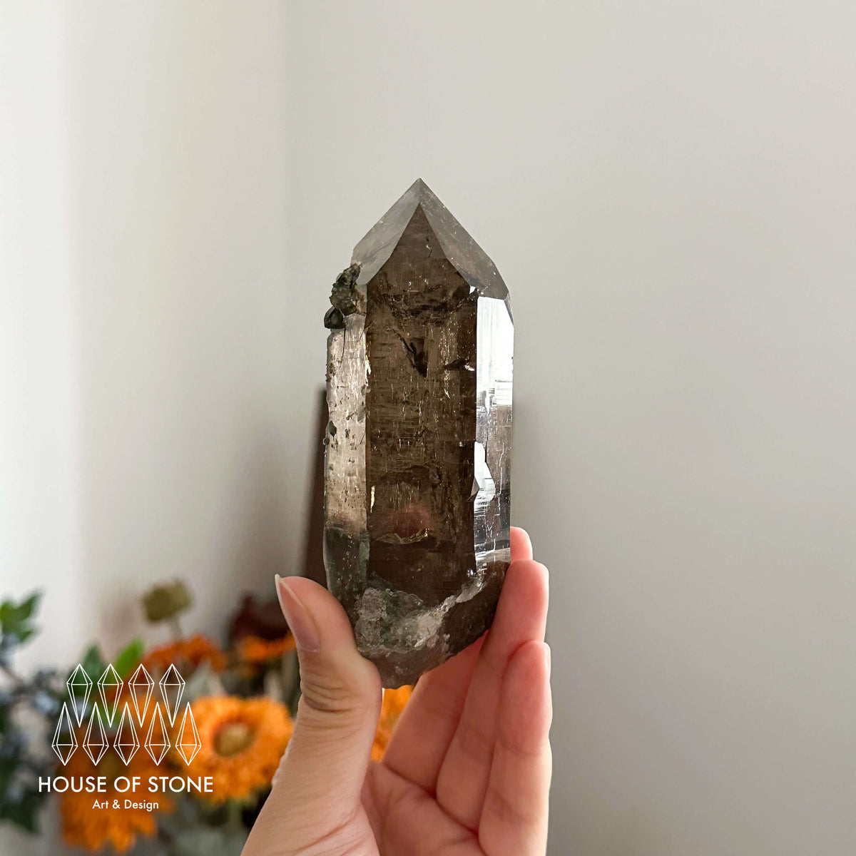 Swiss Smoky Quartz Point Specimen/Switzerland Smoky Quartz Tower/Alpine Mineral/Apls Quartz