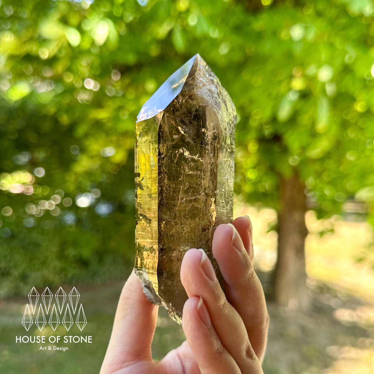 Swiss Smoky Quartz Point Specimen/Switzerland Smoky Quartz Tower/Alpine Mineral/Apls Quartz