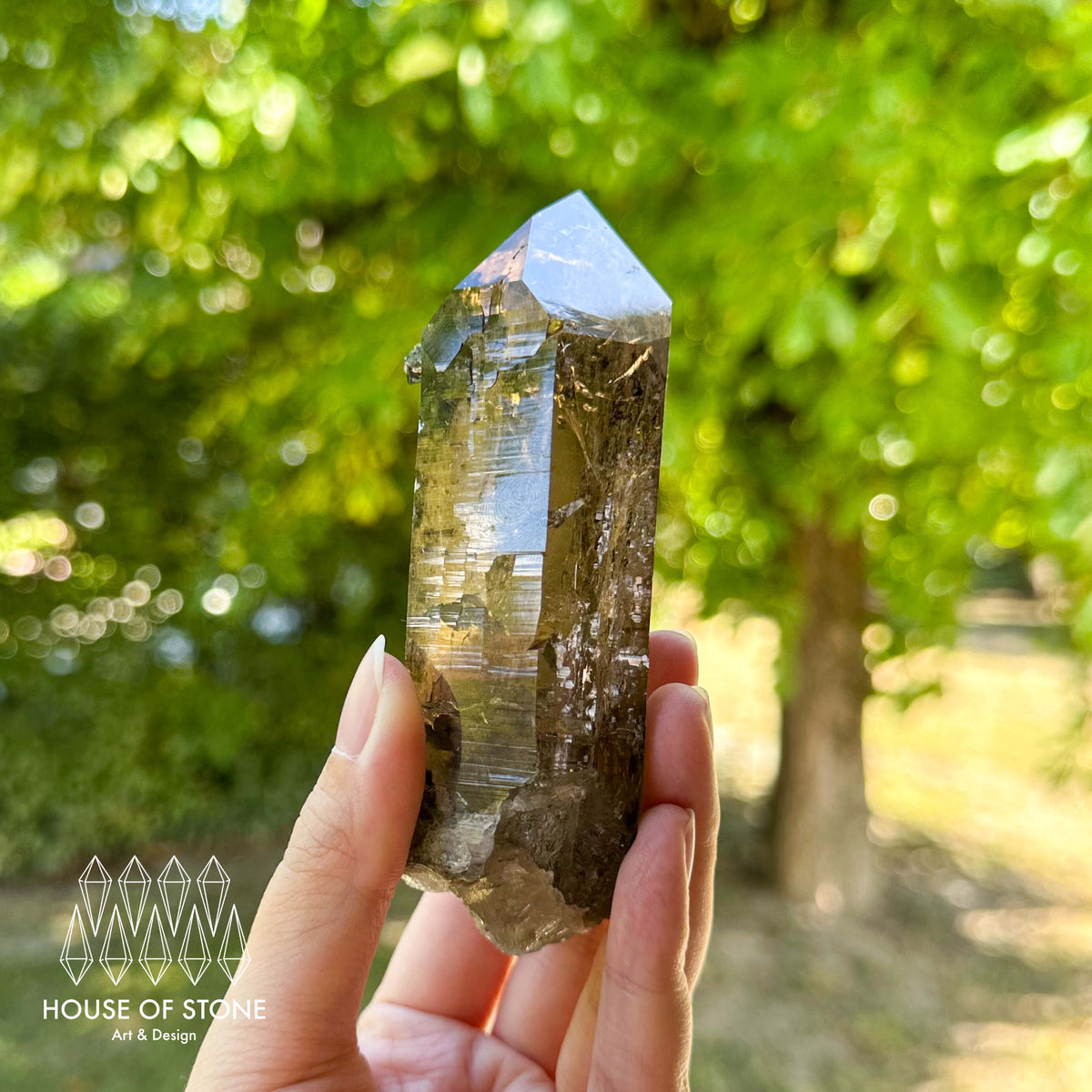 Swiss Smoky Quartz Point Specimen/Switzerland Smoky Quartz Tower/Alpine Mineral/Apls Quartz