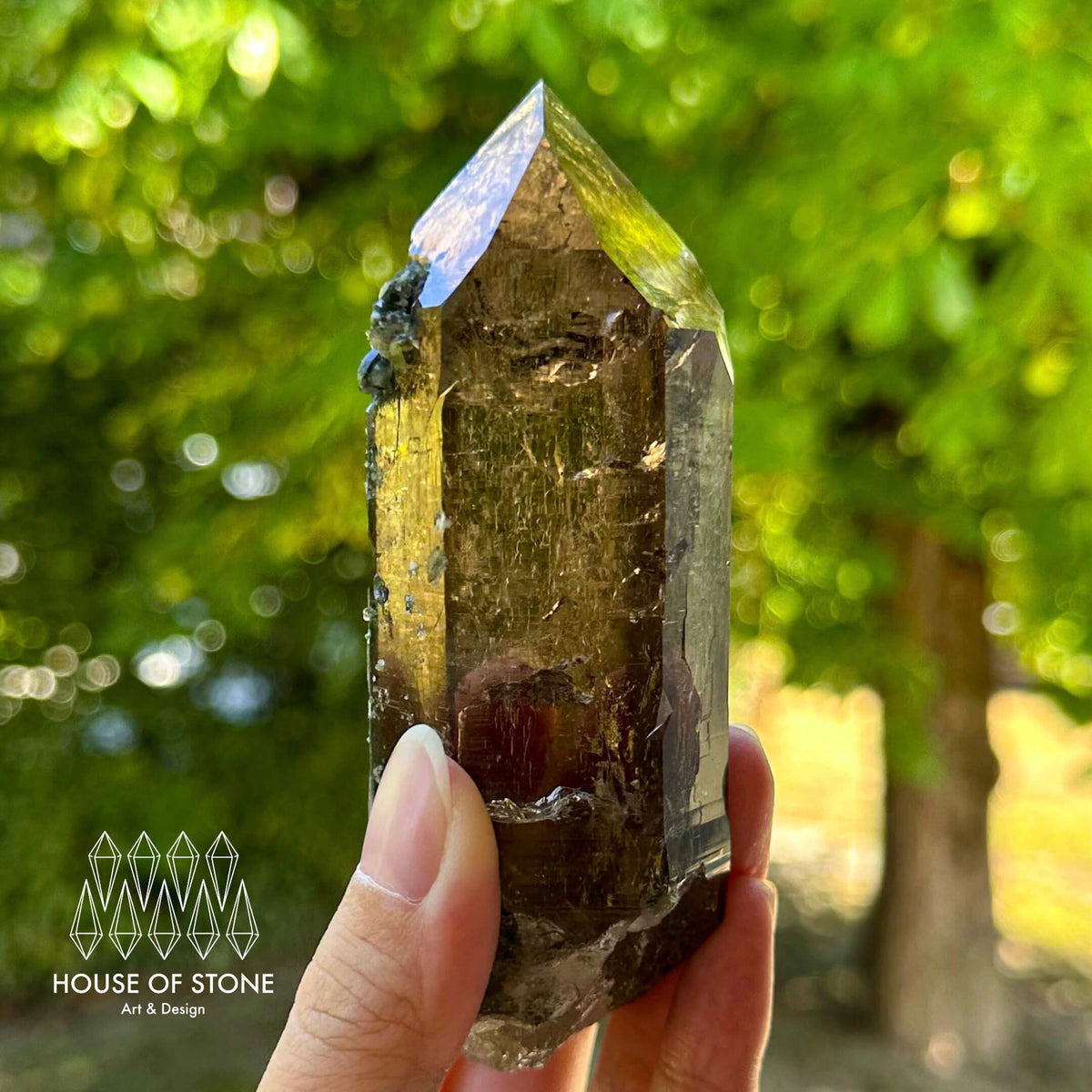 Swiss Smoky Quartz Point Specimen/Switzerland Smoky Quartz Tower/Alpine Mineral/Apls Quartz