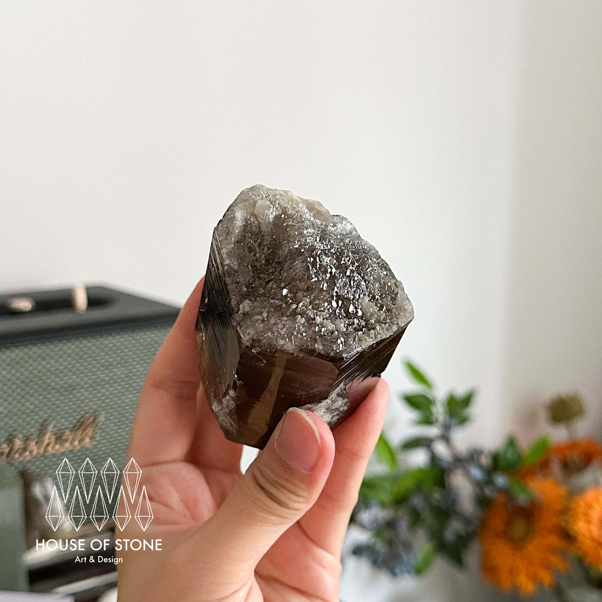 Swiss Smoky Quartz Point Specimen/Switzerland Smoky Quartz Tower with Floater/Alpine Mineral/Apls Quartz