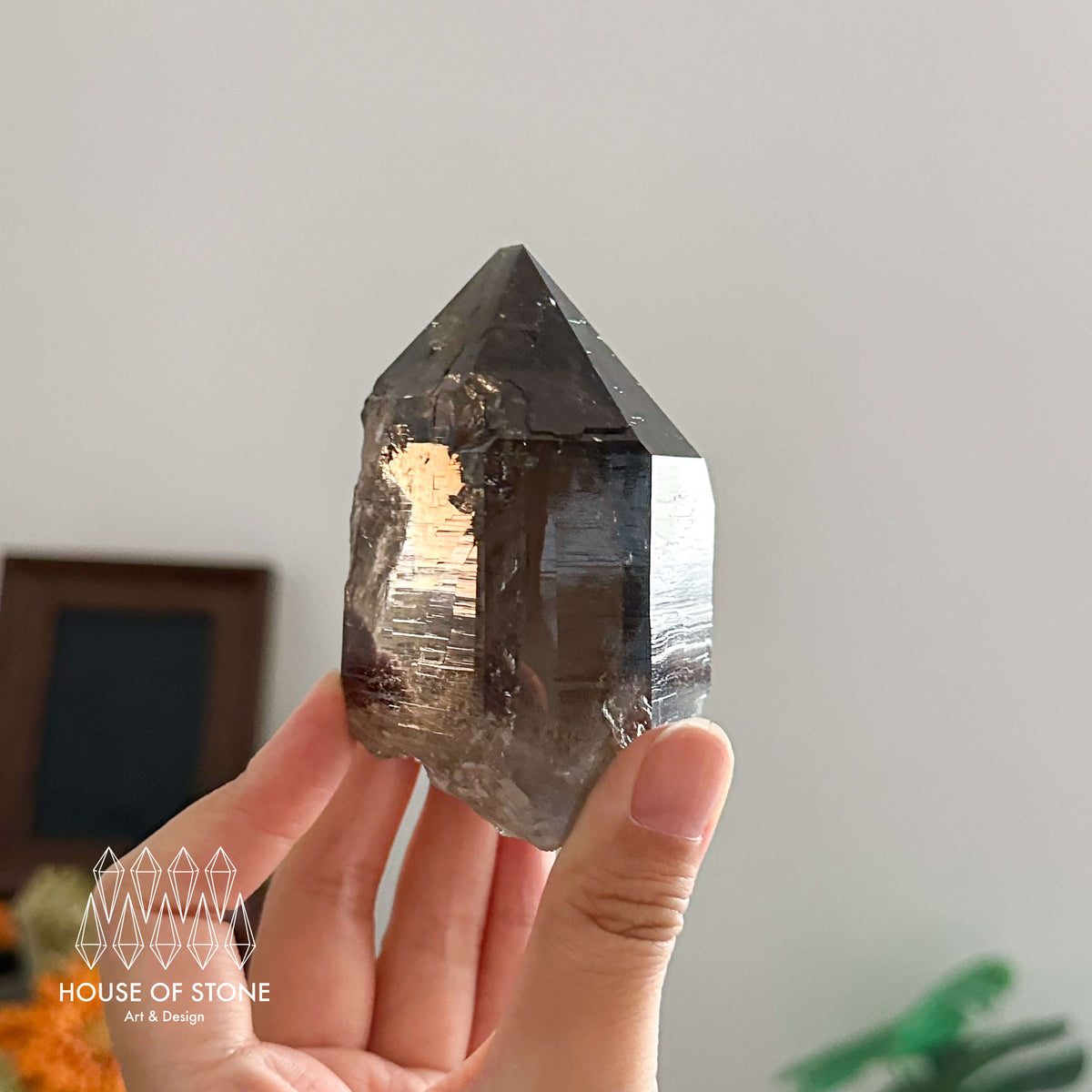 Swiss Smoky Quartz Point Specimen/Switzerland Smoky Quartz Tower with Floater/Alpine Mineral/Apls Quartz