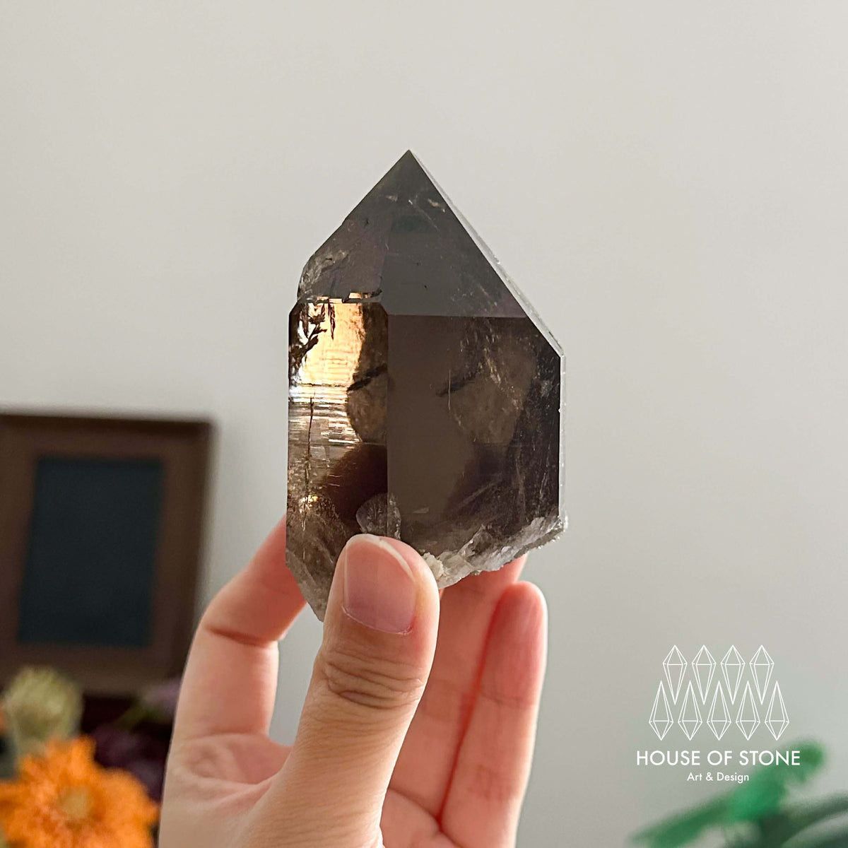 Swiss Smoky Quartz Point Specimen/Switzerland Smoky Quartz Tower with Floater/Alpine Mineral/Apls Quartz