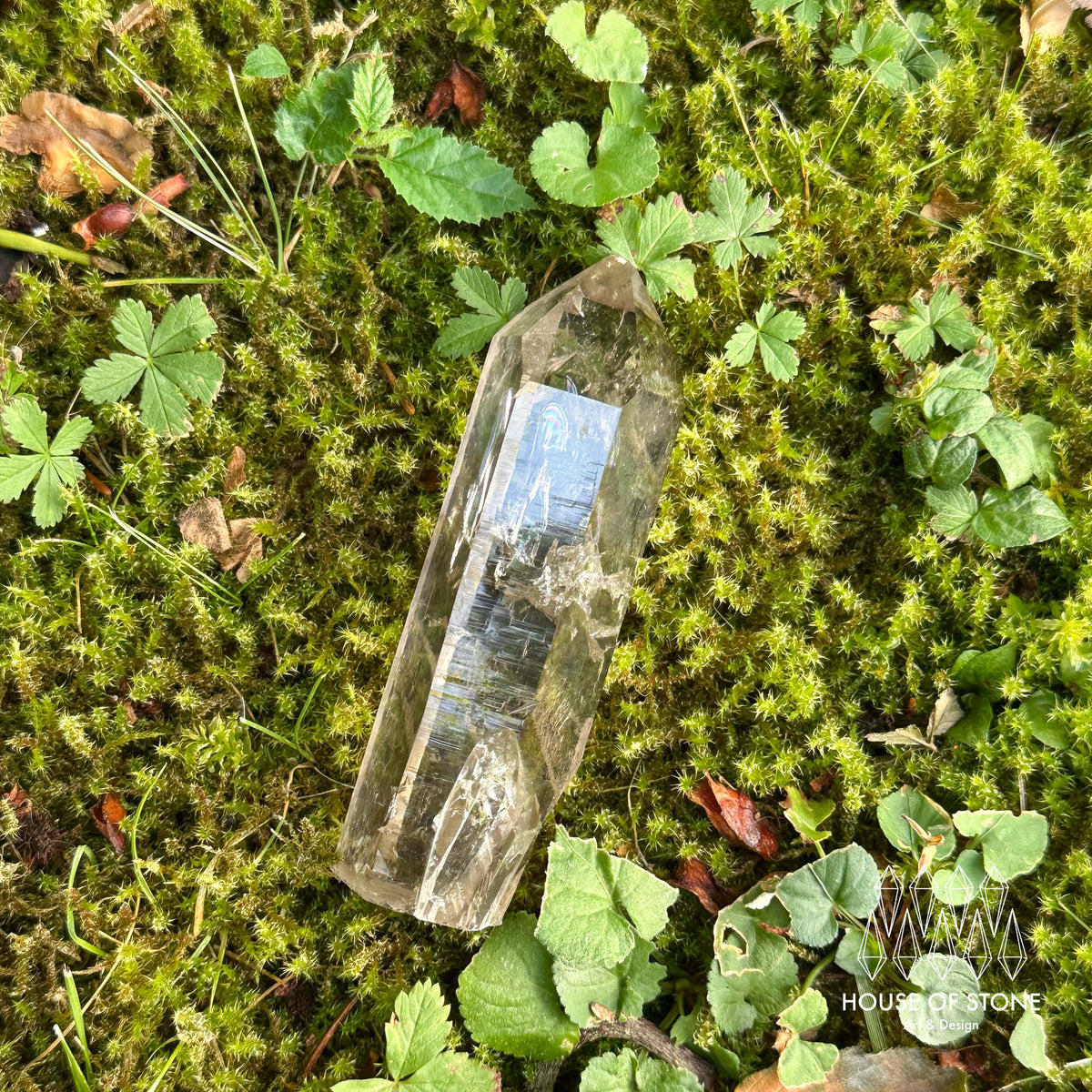Swiss Smoky Quartz Point Specimen/Switzerland Light Smoky Quartz Tower with Flat Bottom/Alpine Mineral/Apls Quartz