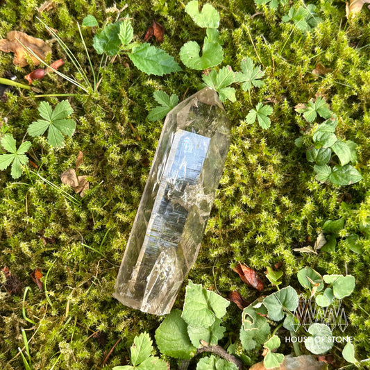 Swiss Smoky Quartz Point Specimen/Switzerland Light Smoky Quartz Tower with Flat Bottom/Alpine Mineral/Apls Quartz