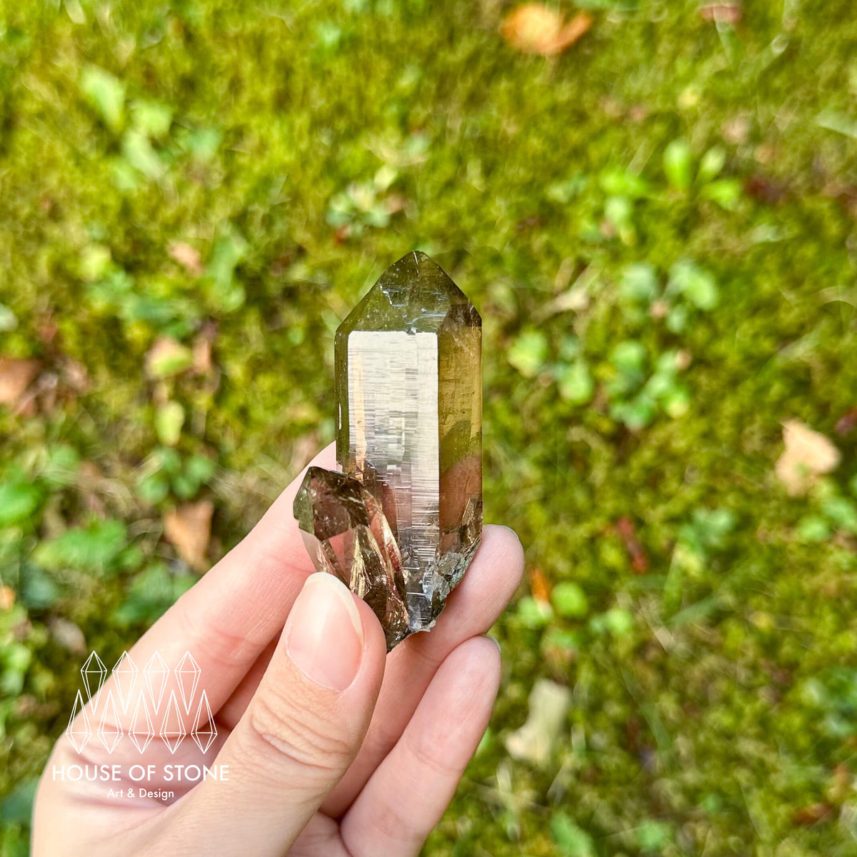 Alpine Mineral Light Smoky Quartz Point Cluster Specimen/Swiss Cluster Apls/Double Terminated Quartz Cluster