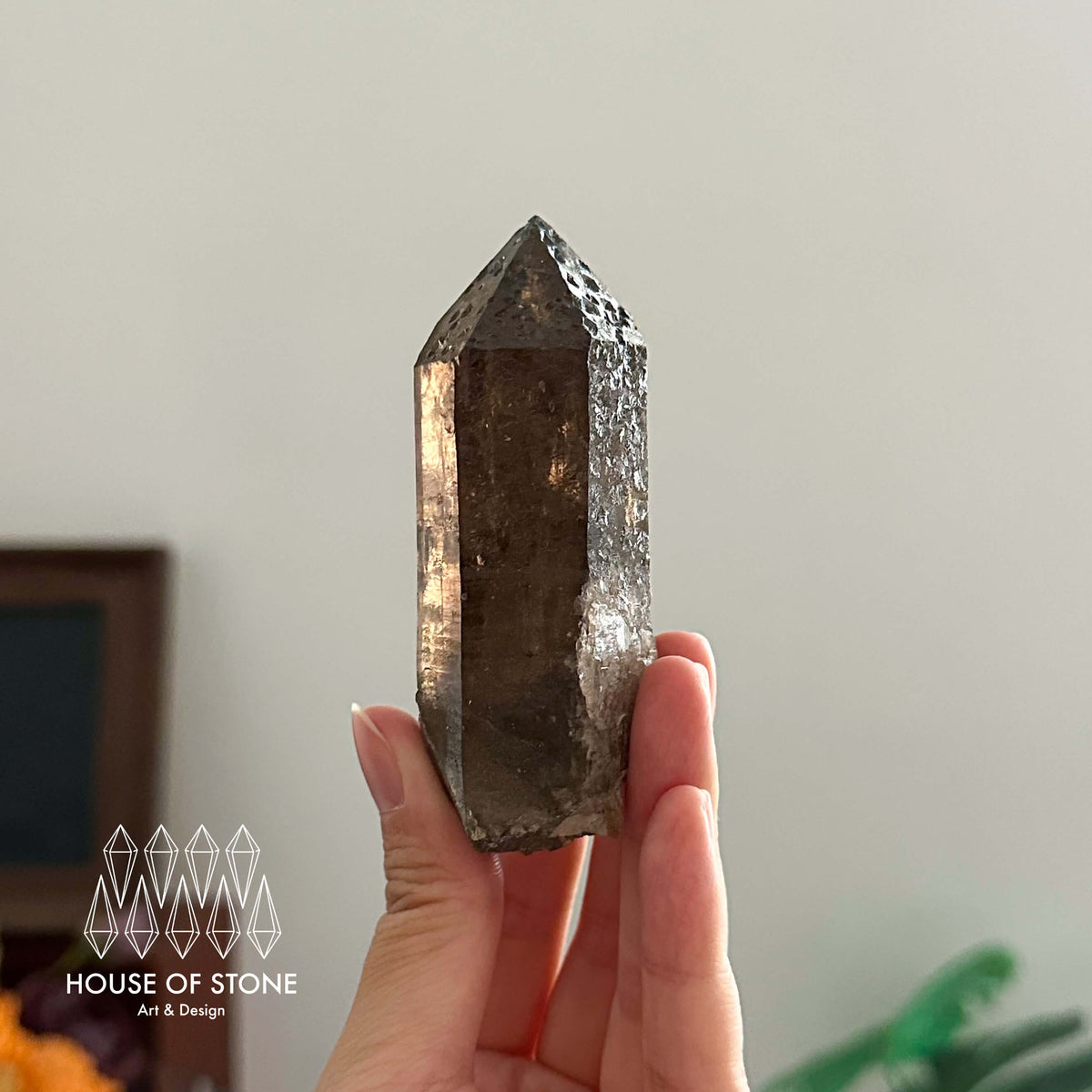 France Smoky Quartz Point Specimen/France Dark Smoky Quartz Tower with Fluorite Marks/Alpine Mineral/Apls Quartz/Mont-Blanc Minerals