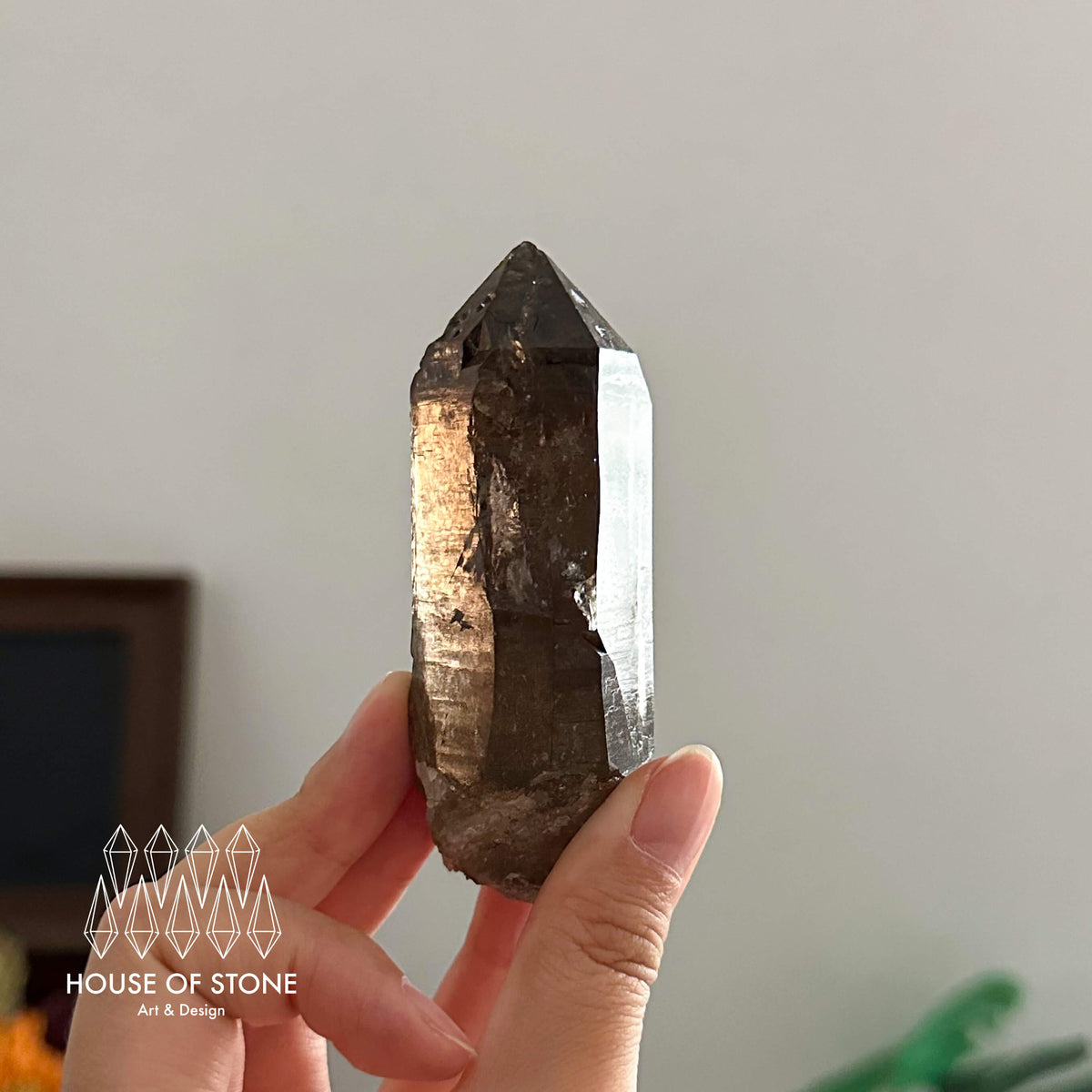 France Smoky Quartz Point Specimen/France Dark Smoky Quartz Tower with Fluorite Marks/Alpine Mineral/Apls Quartz/Mont-Blanc Minerals
