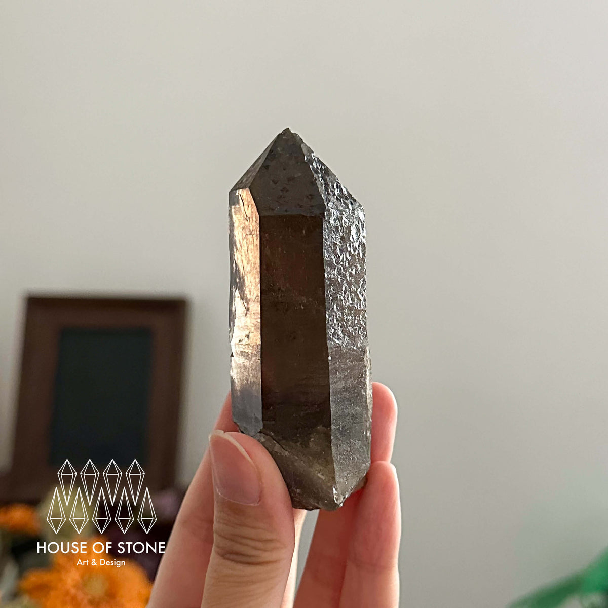 France Smoky Quartz Point Specimen/France Dark Smoky Quartz Tower with Fluorite Marks/Alpine Mineral/Apls Quartz/Mont-Blanc Minerals