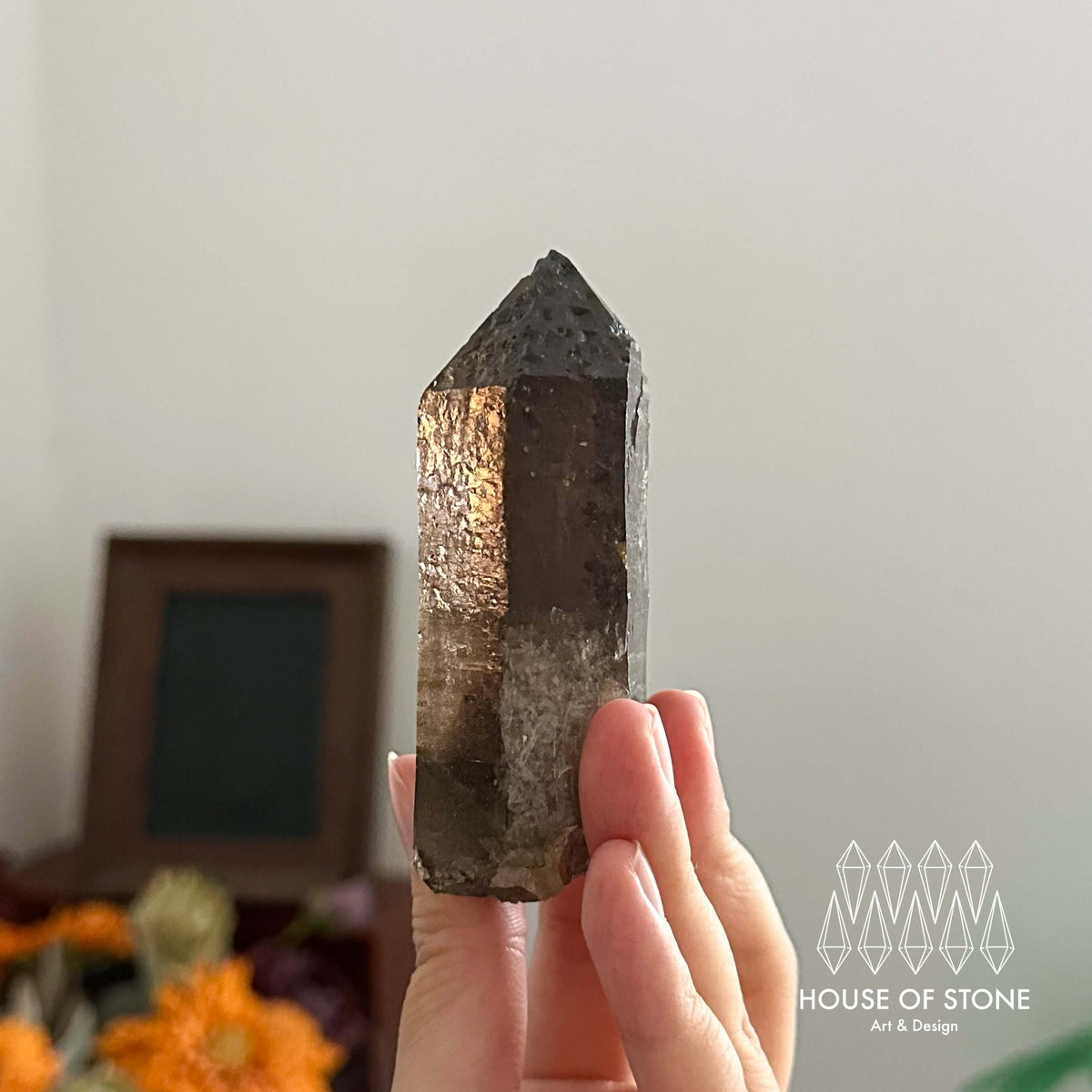 France Smoky Quartz Point Specimen/France Dark Smoky Quartz Tower with Fluorite Marks/Alpine Mineral/Apls Quartz/Mont-Blanc Minerals