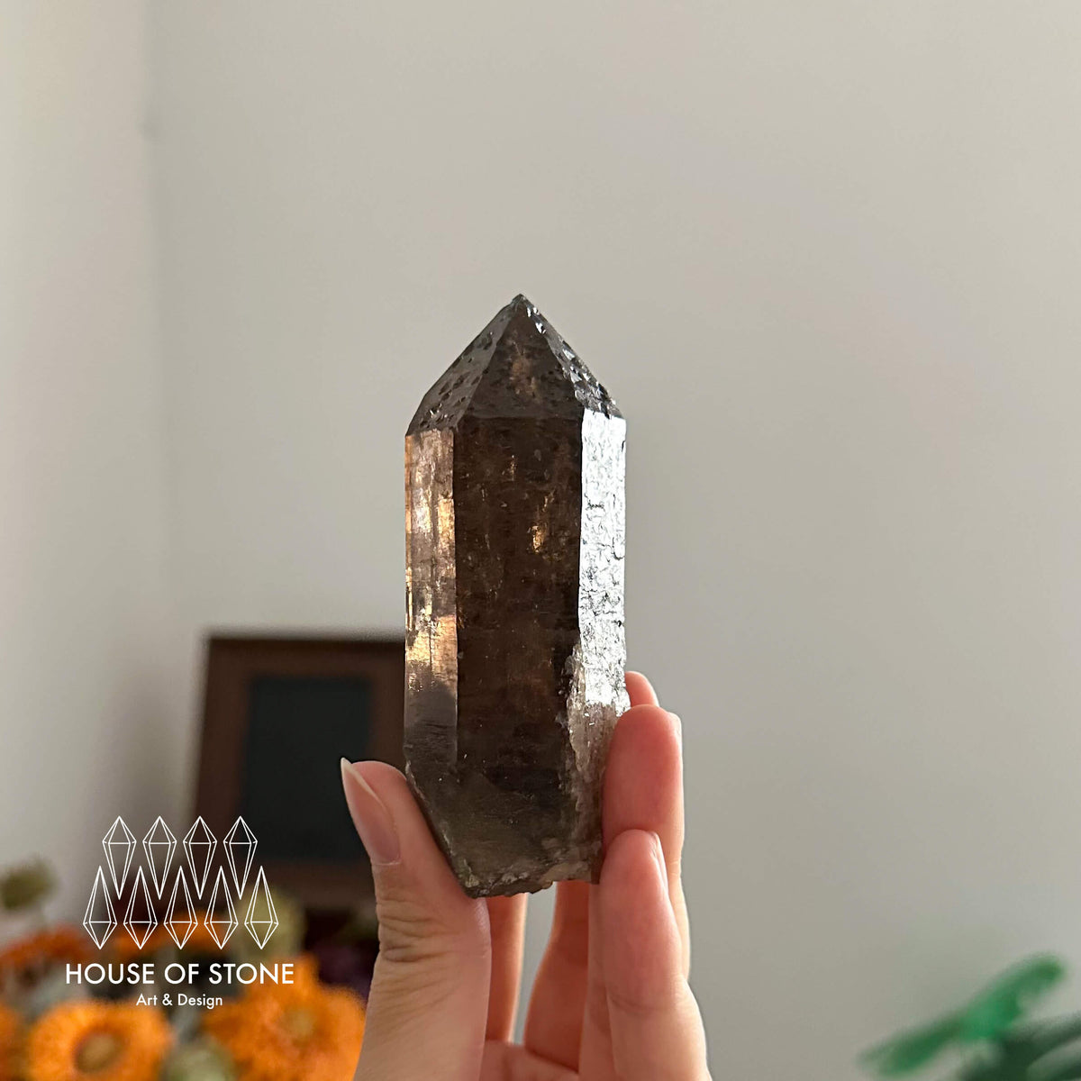 France Smoky Quartz Point Specimen/France Dark Smoky Quartz Tower with Fluorite Marks/Alpine Mineral/Apls Quartz/Mont-Blanc Minerals
