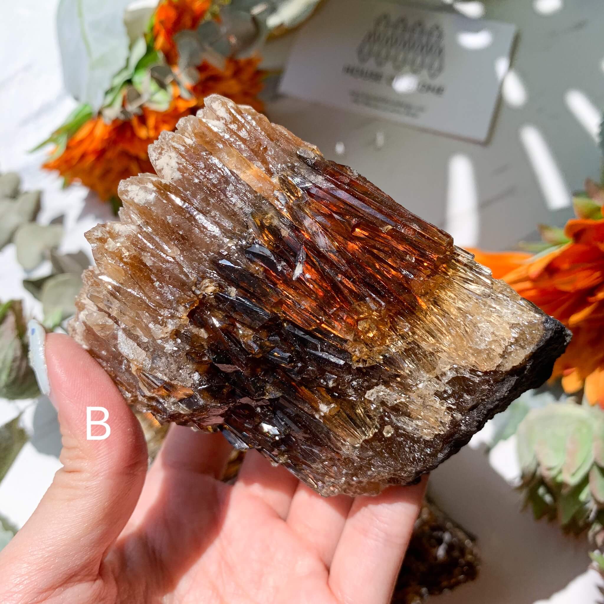 Amber, amber calcite, hot amber Specimen, amber raw, amber freeform, natural amber